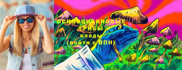шишки Белокуриха