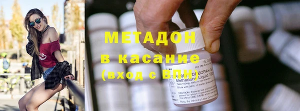 шишки Белокуриха