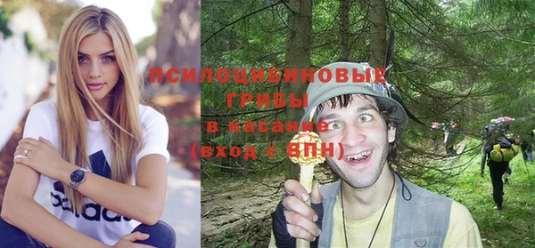 гашик Беломорск