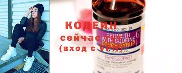 шишки Белокуриха