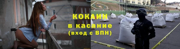 шишки Белокуриха