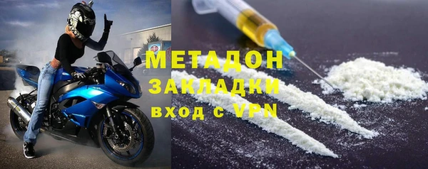 шишки Белокуриха