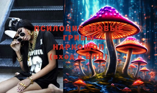 гашик Беломорск