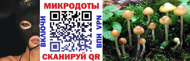 Псилоцибиновые грибы мухоморы нарко площадка Telegram Володарск